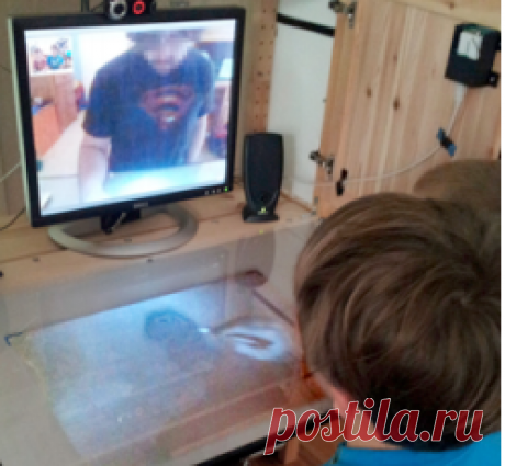 “Almost Touching:” Parent–Child Remote Communication Using the ShareTable System