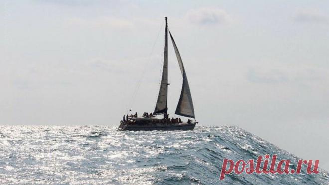 "Жизнь после жизни": Как получить максимум от жизни, и что мешает ею наслаждаться | Счастье в итоге | Яндекс Дзен