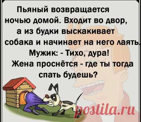 Пост пользователя Юмор Юмор (comedytv) от 2 августа 2022 г., Мужик и с Мужик и собака Пост пользователя Юмор Юмор (comedytv) от 2 августа 2022 г. в социальной сети ЯRUS.