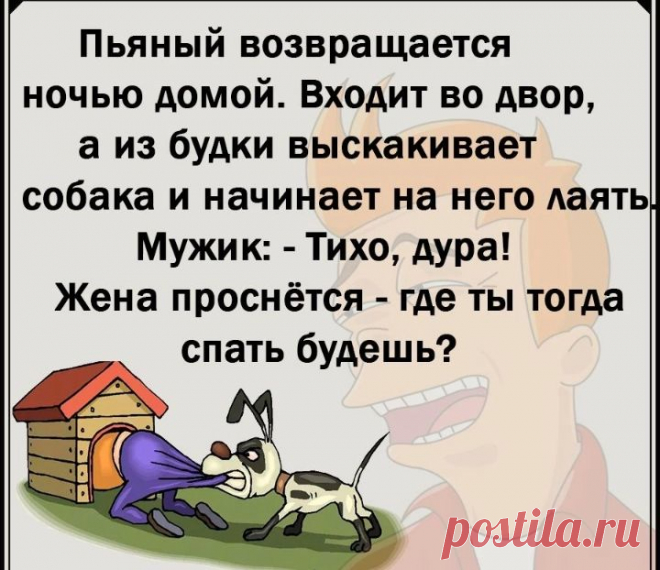 Пост пользователя Юмор Юмор (comedytv) от 2 августа 2022 г., Мужик и с Мужик и собака Пост пользователя Юмор Юмор (comedytv) от 2 августа 2022 г. в социальной сети ЯRUS.