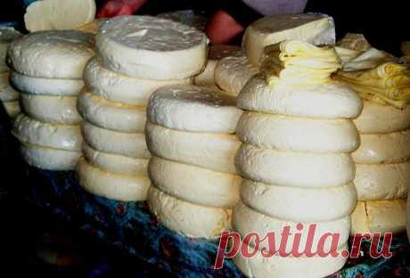 Сыр сулугуни домашний: рецепт с фото 
Этот популярный в нашей стране продукт готовится по старинной технологии, которая начинает свою историю в глубине веков. Сыр сулугуни относится к группе рассольных сыров, которые созревают в растворе поваренной соли. Классический мингрельский сыр готовится только на овечьем молоке, однако в промышленном производстве используется любое (буйволиное, коровье или козье). Качественный продукт имеет приятный кисломолочный, солоноватый вкус и...