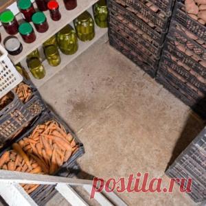 Самая мощная трава избавит от артрита, подагры, грибка ногтей, инфекций мочевых путей, улучшит кровообращение и не только - МирТесен