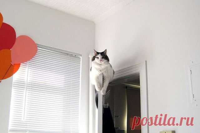 НАСТРОЙСЯ НА ВОЛНУ ХОРОШЕГО НАСТРОЕНИЯ!