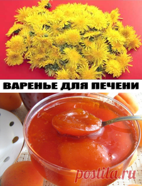 (16) Одноклассники