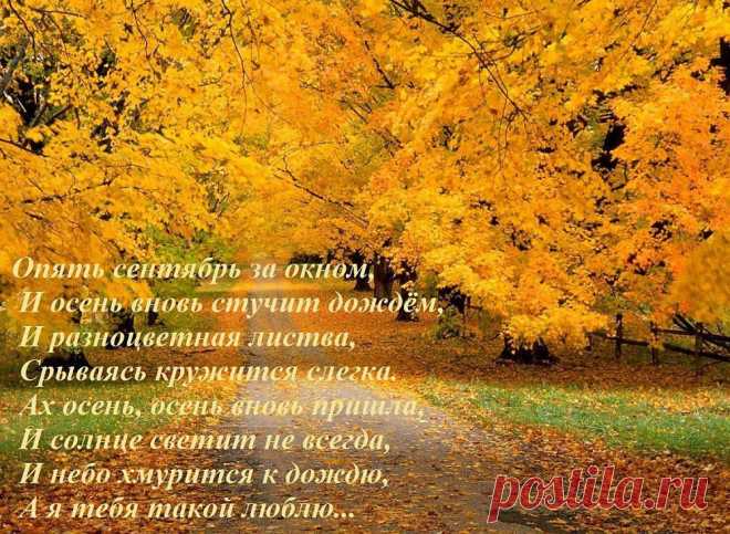 большие и красивые картинки: 34  изображений найдено в Яндекс.Картинках