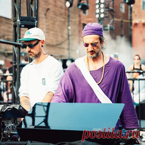 Monkey Safari Good Vibes From Paradise Chart - HypeDJ.top