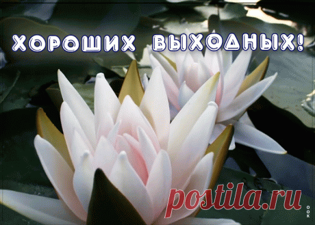 Милое пожелание хороших выходных