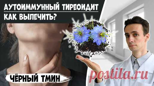 ЧЕРНЫЙ ТМИН против аутоиммунного тиреоидита (АИТ). Восстановление щитовидной железы. | НА ПУЛЬСЕ. Доктор Атабеков Игорь | Дзен