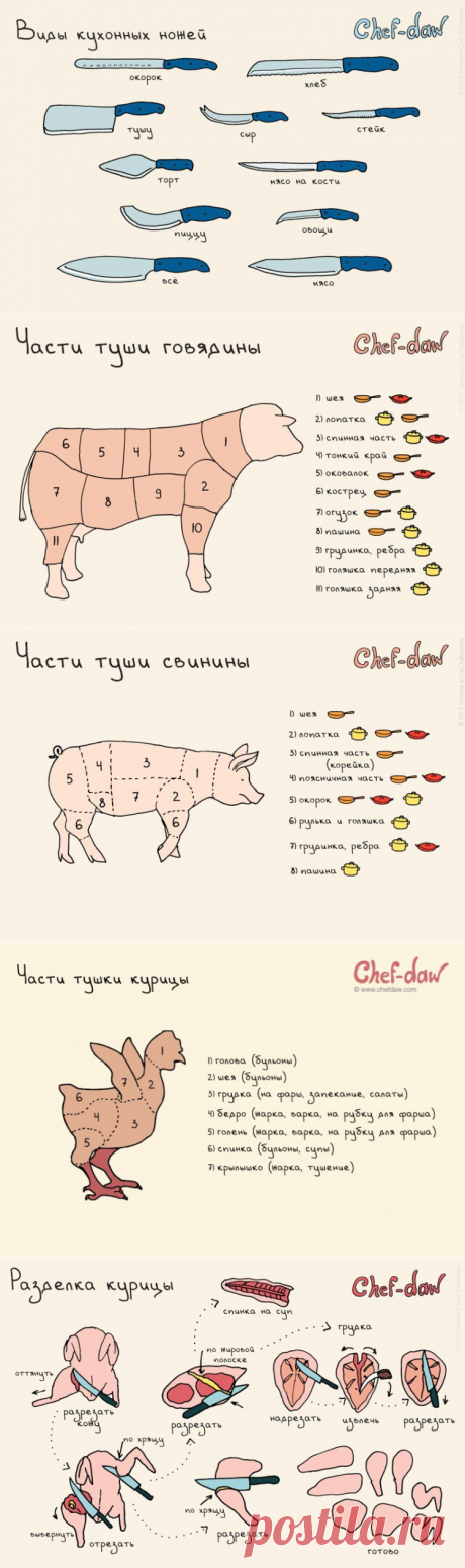 20 жизненоважных кухонных шпаргалок, которые сделают из вас шеф-повара экстра класса