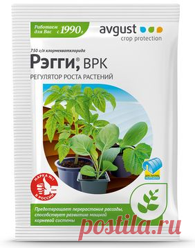 Рэгги® Регулятор роста растений от перерастания рассады и образования усов у земляники