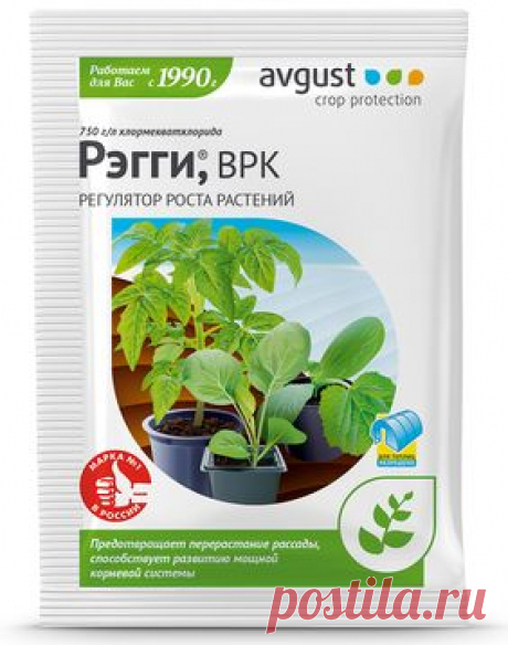 Рэгги® Регулятор роста растений от перерастания рассады и образования усов у земляники