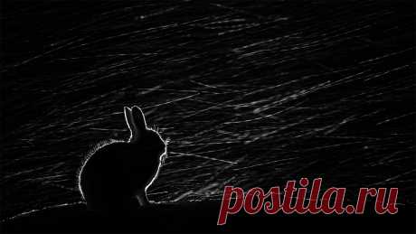 Последние новости Севастополя и Республики Крым на сегодня - Новости Mail.ru