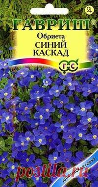 Обриета: посадка и уход, выращивание из семян » У-Дачник.ру