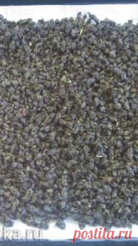 ФЕРМЕНТИРОВАННЫЙ ЧАЙ ИЗ ЛИСТЬЕВ САДОВЫХ И ДИКОРАСТУЩИХ РАСТЕНИЙ

#ВЪДИ #Исторiя #Человъкъ #Образованiе #Питаніе #Растенія #Народъ #Книгi

Многие летом любят готовить чай из свежесобранных листьев смородины, земляники, вишни... Да и на зиму ими запасаются... Но чай из высушенных листьев получается не таким вкусным и ароматным, как из свежих. Ферментация же листьев позволяет не только сохранить вкус, аромат и цвет чая, но и сделать его более насыщенным, чем из свежего листа....