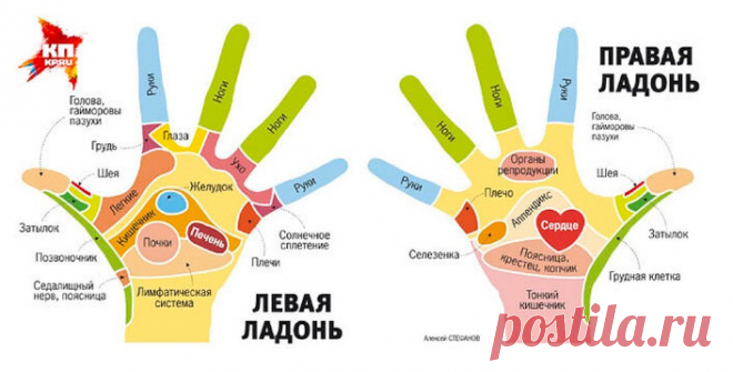 Узнайте почему китайцы каждый день хлопают в ладоши | Куклы Марины Еремеевой | Яндекс Дзен