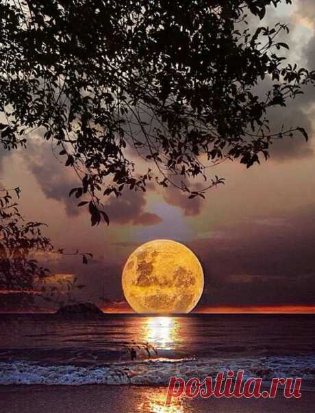 Joie De Vivre! Joy Of Pictures... Joy Of Earth