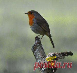 Мои фото — National Geographic Россия