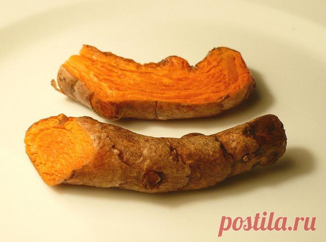 File:Turmericroot.jpg - Wikimedia Commons