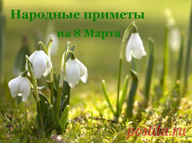 Народные приметы на 8 марта — Бабушкины секреты В старину на Руси 8 марта называли «Кислыми Девками». Если девушка не вышла замуж до Масленицы – ей еще долгое время предстоит провести в родительском доме. Отсюда и пошло название этого дня - «кислые девки». Неудачливые невесты надолго убирали в сундуки свои наряды и приданое и завидовали замужним подругам. 2. Слышен крик тетерева – к дружной весне.