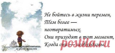 (21) Одноклассники