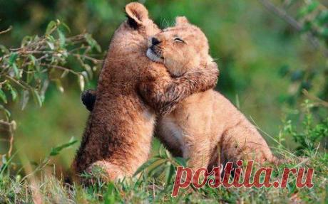 Обнимашки каждому нужны