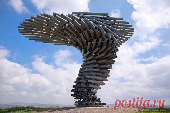 Поющее Звенящее Дерево, Singing Ringing Tree | Фотоштаб - интернет-журнал с фотографиями