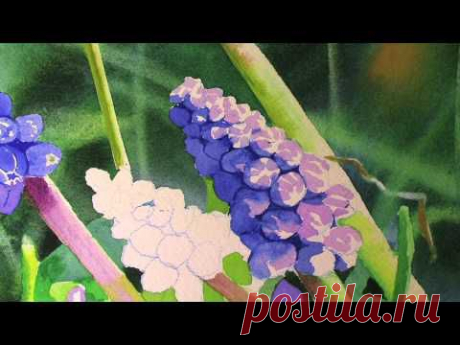 A watercolour journey of discovery - with Elizabeth Tyler