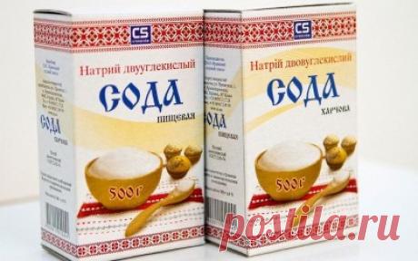 Добрым хозяйкам на заметку. Десять лучших средств для защиты растений » Москва - Третий Рим