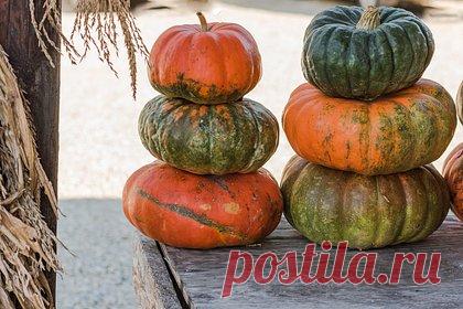 Названы позволяющие избежать гормональных сбоев продукты. Врач-терапевт, нутрициолог Анна Киреева перечислила группы продуктов, включение которых в рацион позволит держать под контролем гормональный фон. В частности, она рекомендовала регулярно употреблять в пищу богатую омега-3 жирными кислотами рыбу. Также для снижения высокого уровня тестостерона будет полезна тыква.