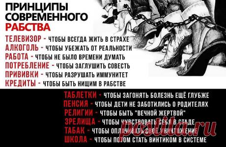 Не искореним! (Кирилл Рассказов) / Стихи.ру