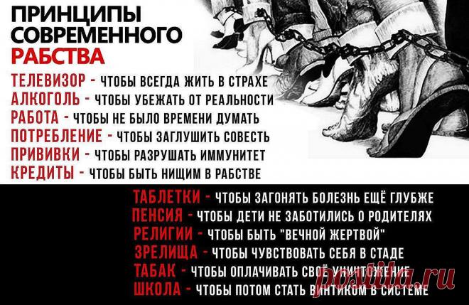 Не искореним! (Кирилл Рассказов) / Стихи.ру