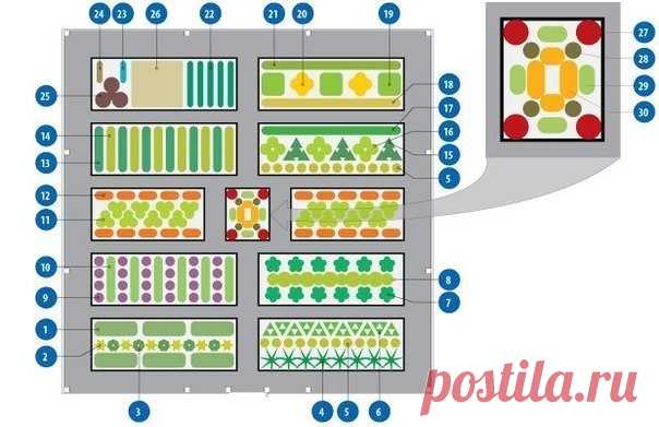 Долго искала схему овощной клумбы, чтоб все культуры находились в в... » Новости Казахстана, все последние новости России и новости мира, новость дня