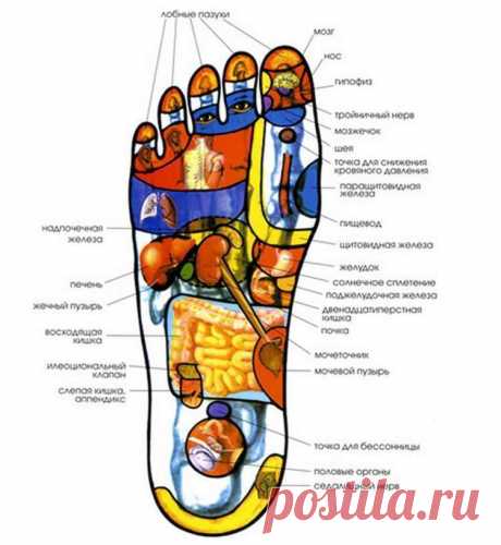 Помоги себе сам. Вот как несложным массажем стоп снять напряжение и боль в спине