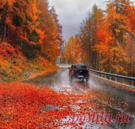 Дорога в осень