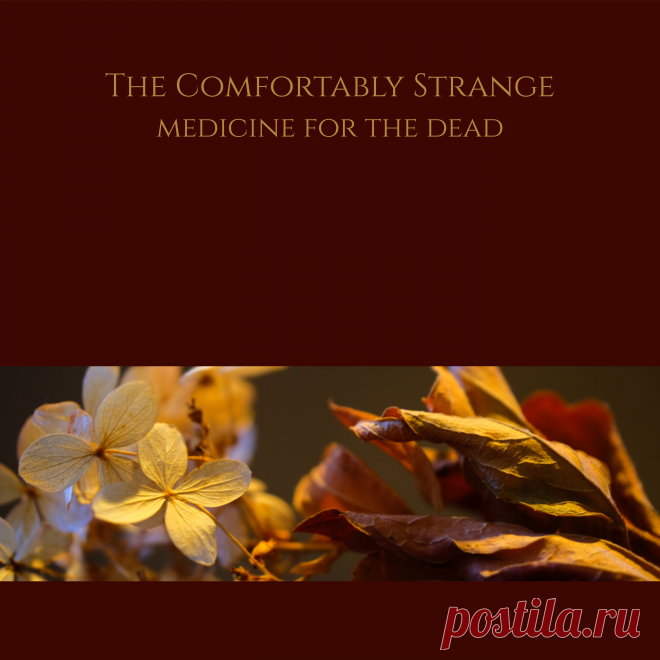 The Comfortably Strange - Medicine For The Dead (EP) (2023) 320kbps / FLAC