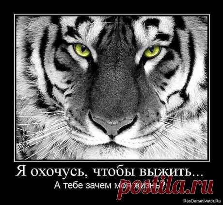 подумай прежде.....зачем тебе ?