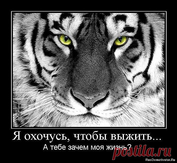 подумай прежде.....зачем тебе ?