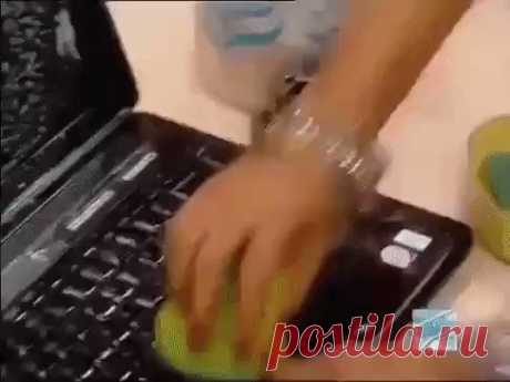 Не жена - а золото