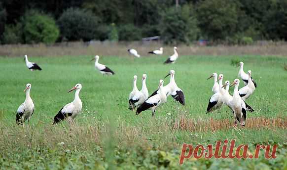 Заповедник Хула. Долина Хула. Озеро Хула.
