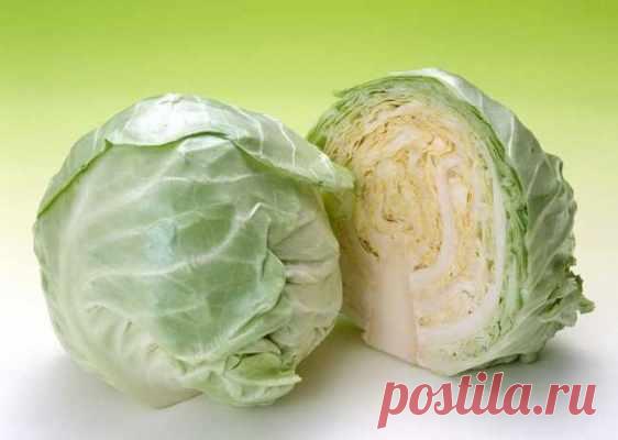 Кулинарные рецепты: солим капусту на зиму — Готовим дома