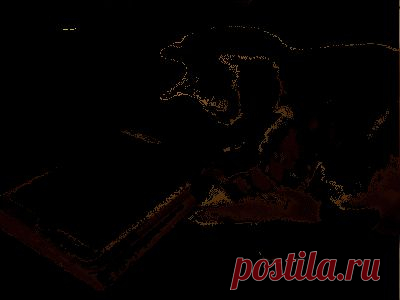 Хорошего воскресного вам дня!!!Всегда всегда улыбайтесь!!!.