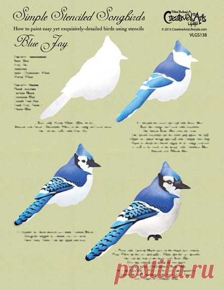 Blue Jay Worksheet