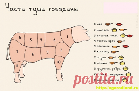 Как выбрать нужный отруб мяса для блюд из говядины
