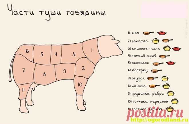 Как выбрать нужный отруб мяса для блюд из говядины