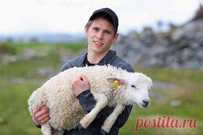 Доброта спасёт мир - Фишки.нет