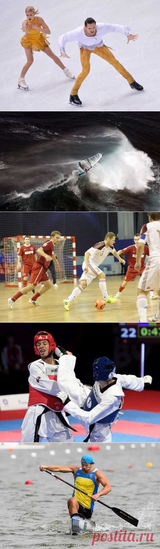 Каноэ поло, Национальная борьба Татарча корэш, Боулинг, Синхронное плавание, Ойна. (1/1) - Спортивный форум. - Спортивный сайт