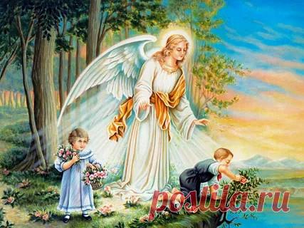 (85) Одноклассники