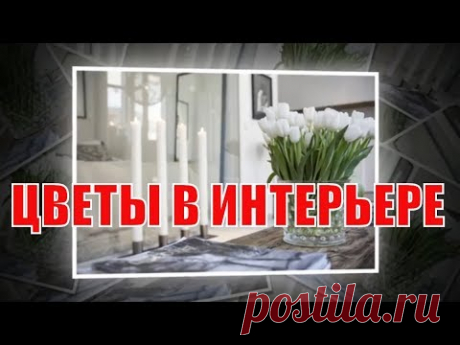 Цветы в интерьере | Flowers in the interior