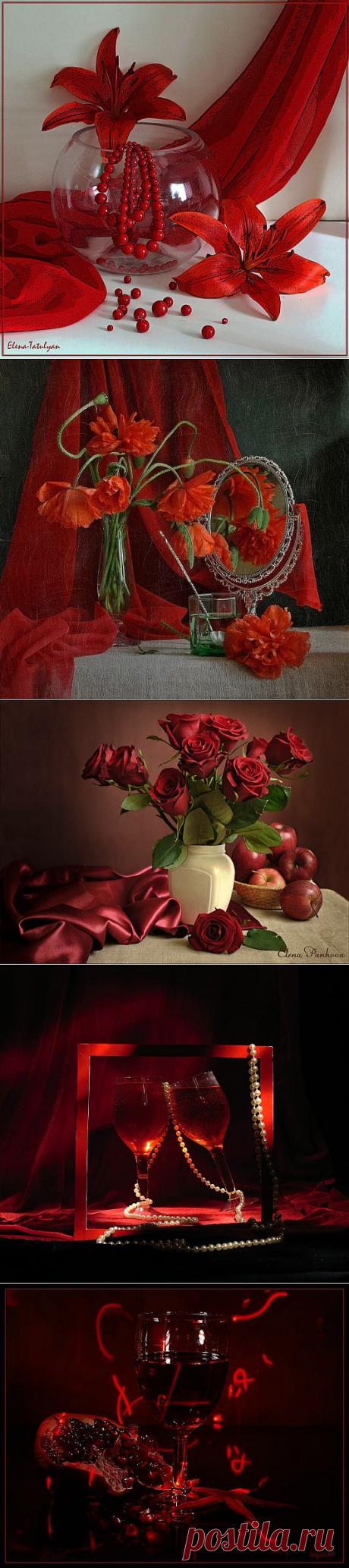 Натюрморты красного цвета.
