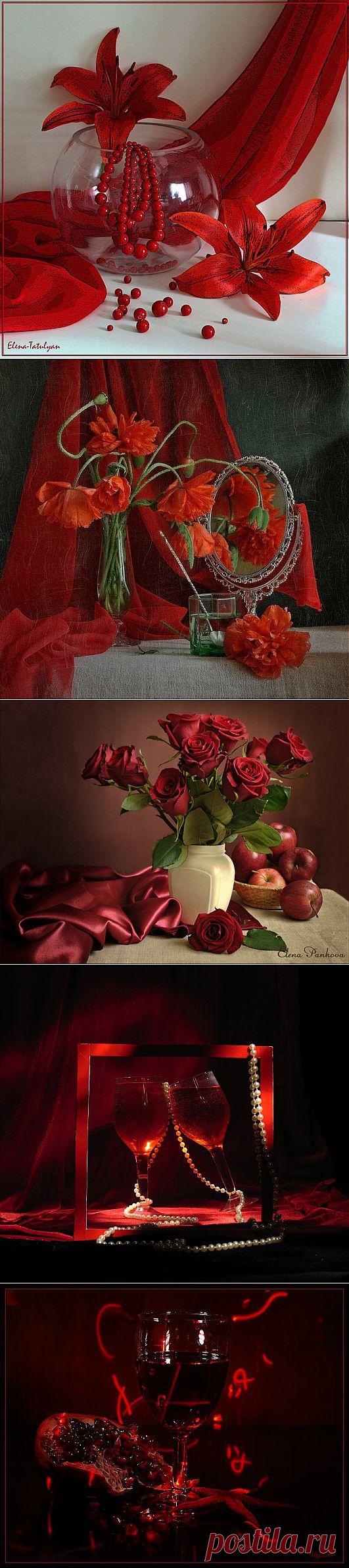 Натюрморты красного цвета.